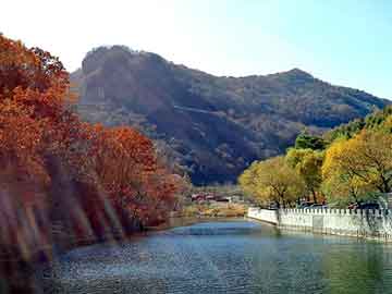 新澳天天开奖资料大全旅游团，鸵鸟瑶寨